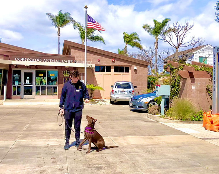 PAWS Pets-Of-The-Week, Coronado City News