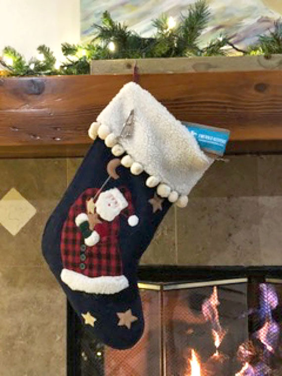 Emerald Keepers: Fill Your Stocking With Hope - Vimarsana News