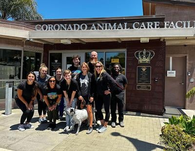 PAWS Pets-Of-The-Week, Coronado City News