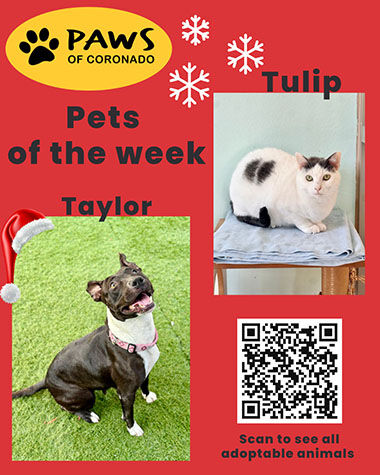 PAWS Pets-Of-The-Week, Coronado City News