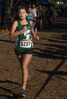 CHS Cross Country Ends Season At CIF Finals