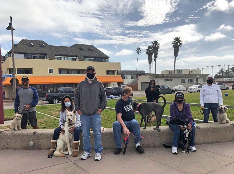 Local dog obedience store classes