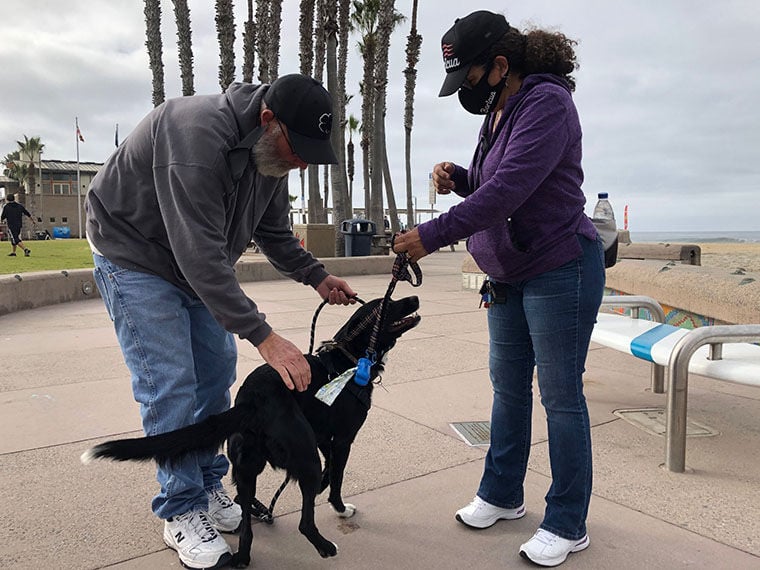 Local dog training 2024 classes near me