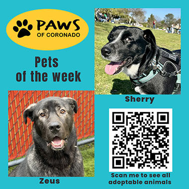 PAWS Pets-Of-The-Week, Coronado City News