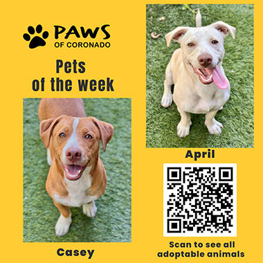 PAWS Pets-Of-The-Week, Coronado City News