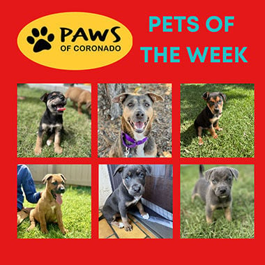 PAWS Pets-Of-The-Week, Coronado City News