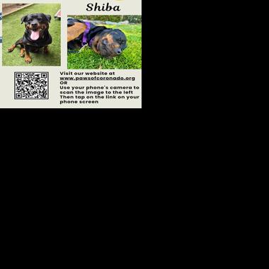 PAWS Pet-Of-The-Week