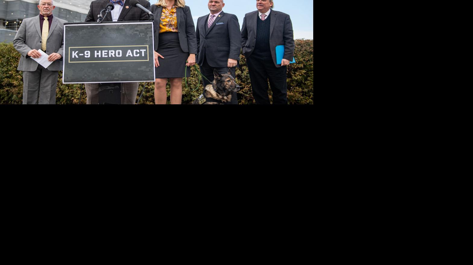 Congressman Wright Introduces the K-9 Hero Act