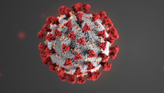 Navarro County Office of Emergency Management gives COVID-19, testing update