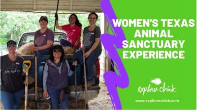 Black Beauty Ranch Presents First Texas Animal Sanctuary Experience Feb 15 News Corsicanadailysun Com