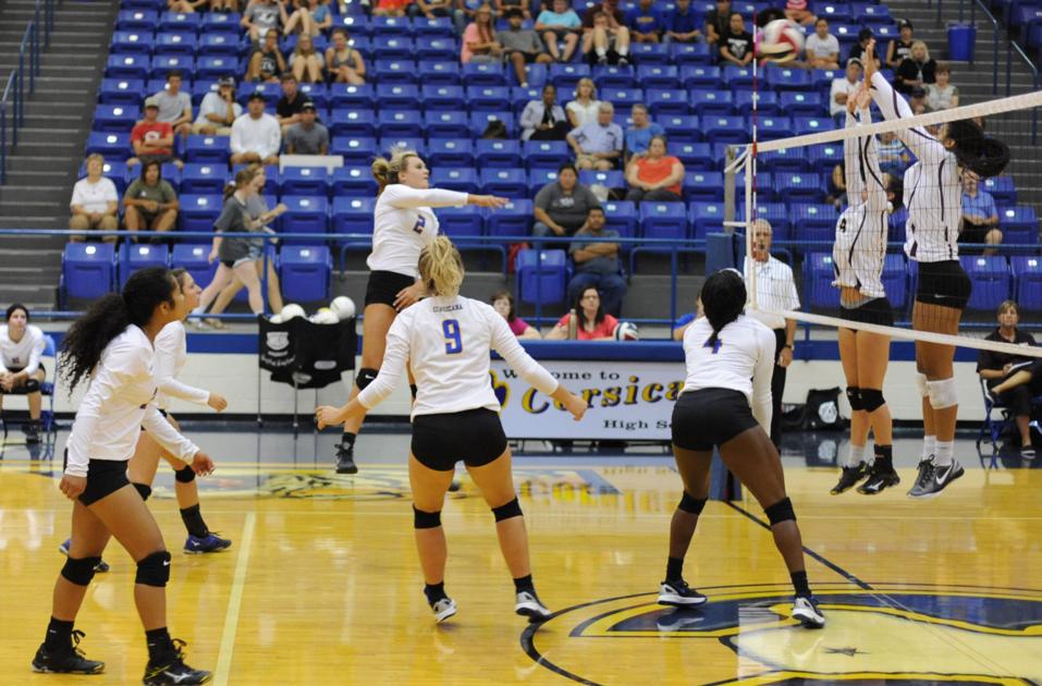 Determined Tigers are on a roll