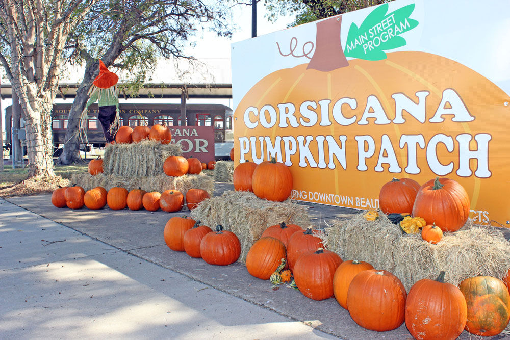Pumpkin Patch opens Monday at Corsicana Visitor Center