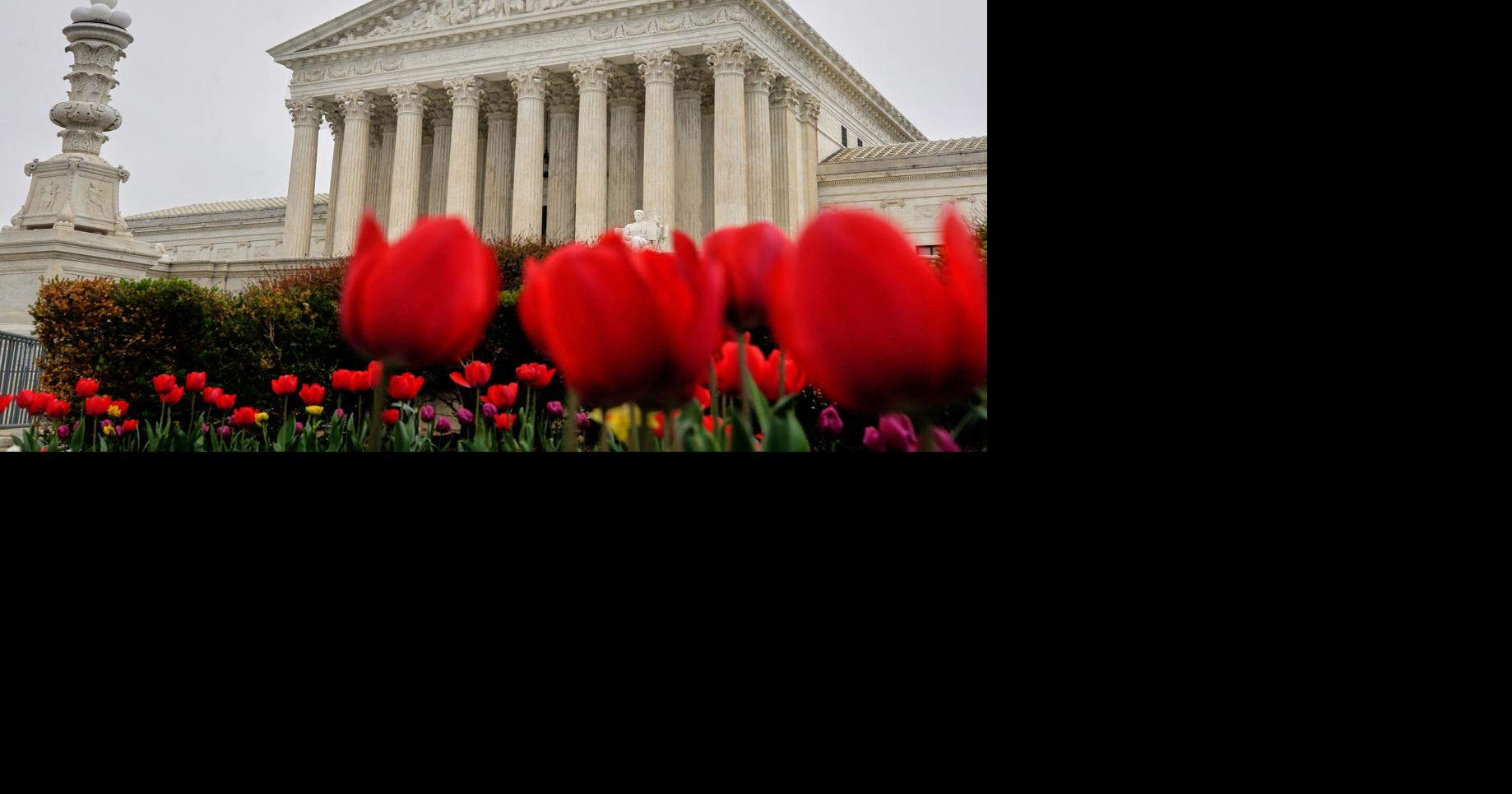 Alabama and Tennessee move to draw new congressional districts in wake of Supreme Court ruling