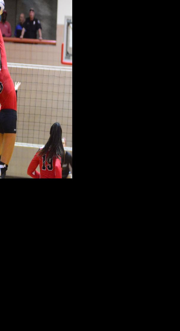 Navarro's volleyball Road Dawgs just keep winning