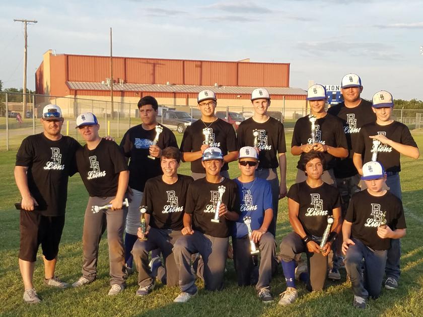 TTAB Baseball: Blooming Grove 14-U Lions qualify for state tournament