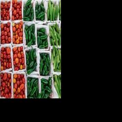 Capital Farm Credit announces new FIELD Fund Grant Program