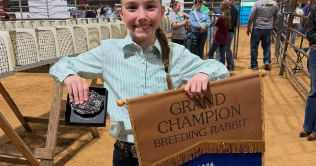 2026 Navarro County Youth Expo highlights food, creative arts, and livestock competitions