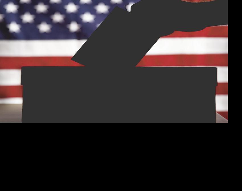 Survey: Pulse of the Voters 2020 Poll