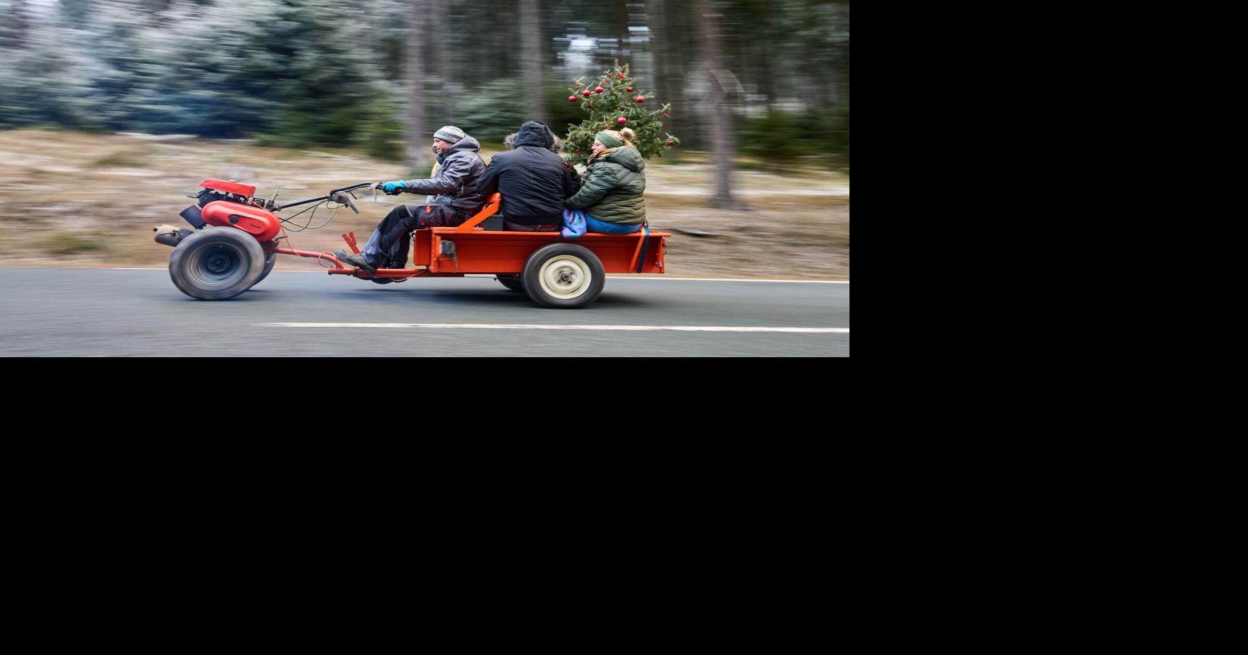 Photos of Christmas celebrations around the world