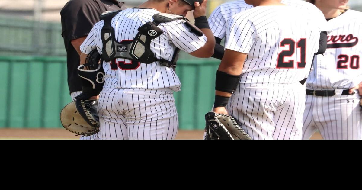 Navarro Baseball: Bulldogs host Region XIV North Regional Tournament