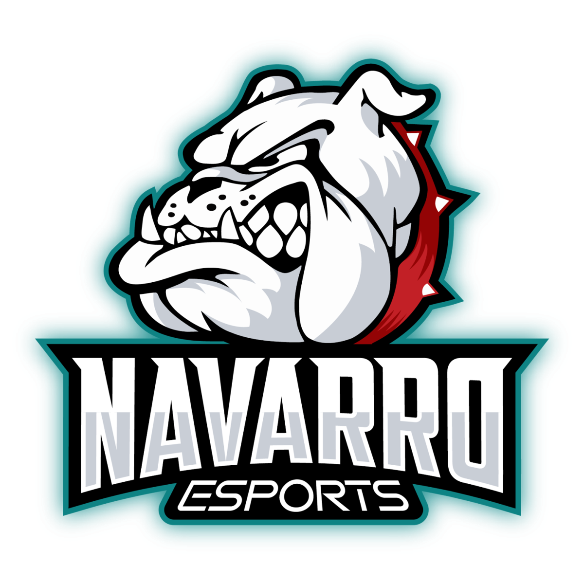 Esports Coming To Navarro College Fall 2020 News