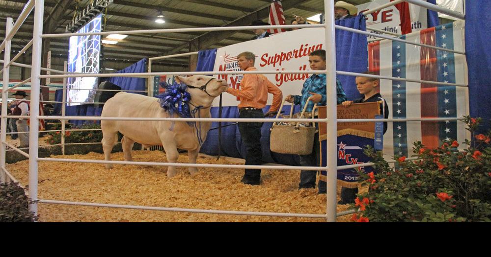 Navarro County Youth Expo 2017 Premium Sale Results News