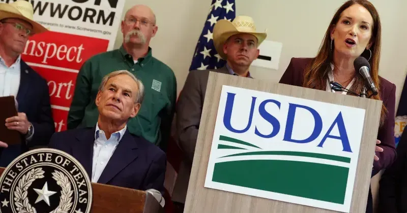 Three new cases of screwworm confirmed in Texas; A&M leader tasked as federal adviser