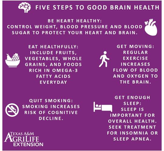 6 Steps to Better Brain Health