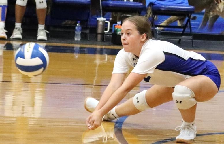 GC Volleyball Blooming Grove soars to stay in playoff hunt Sports