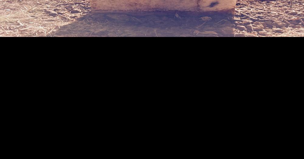 African American soldier to be honored at Chatfield cemetery News