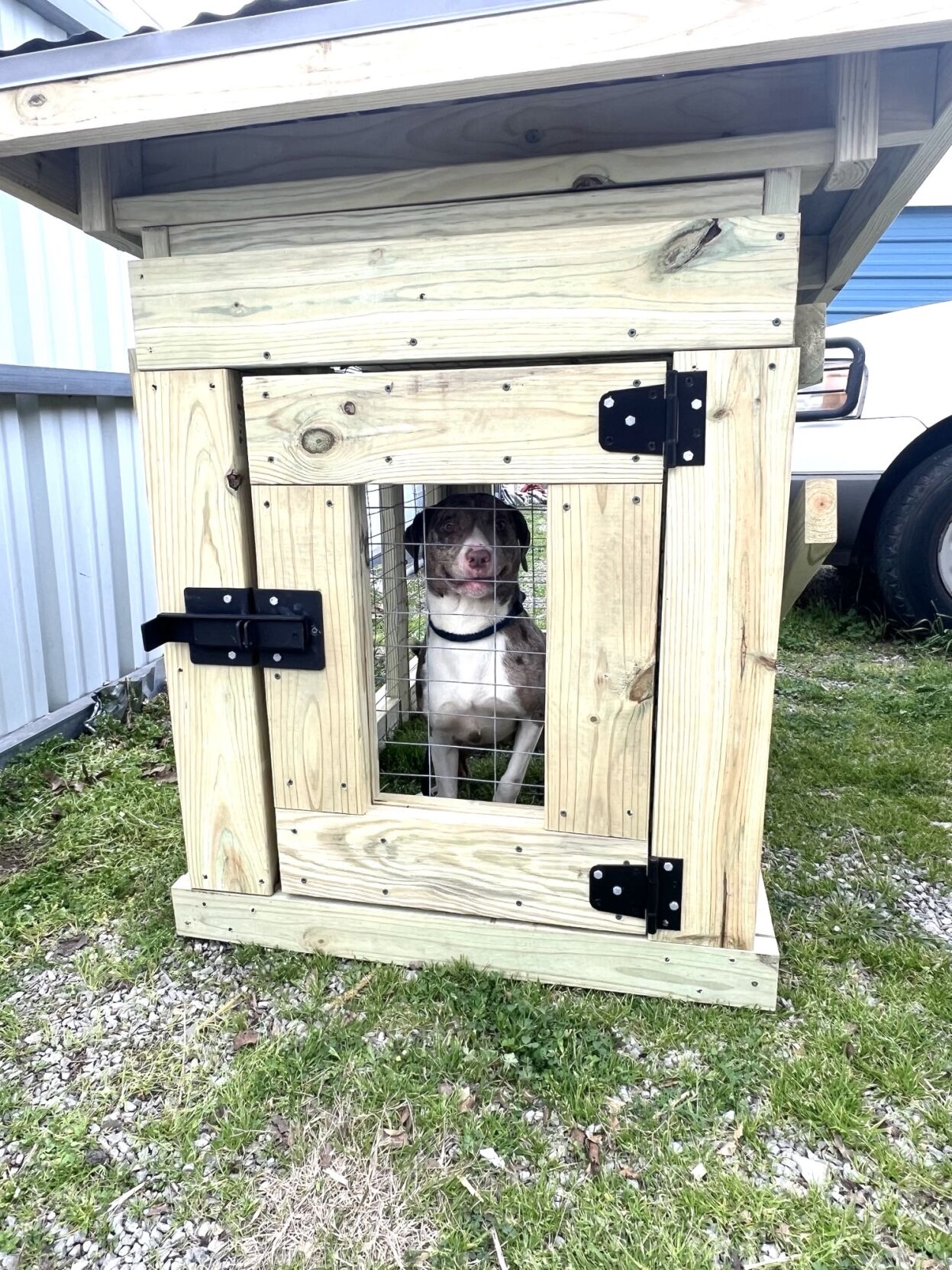 Troop 258 scout builds dog kennels for animal shelter | News ...