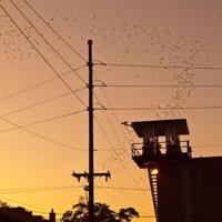 Some Texas prisons resume normal operations