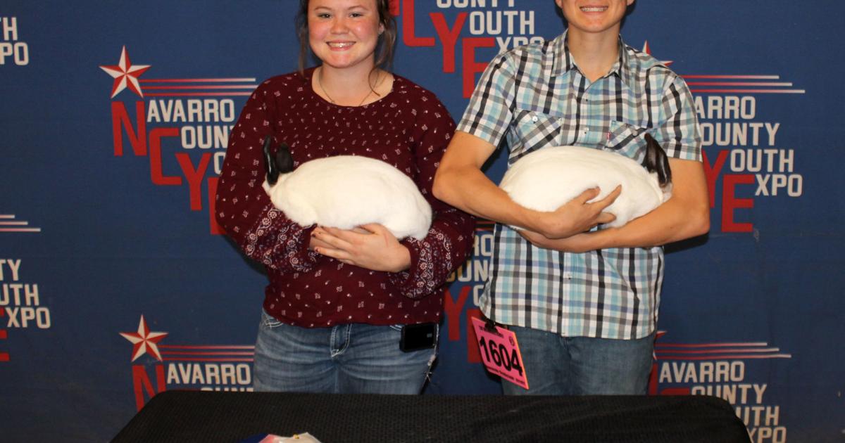 Black wins Breeding Rabbit bragging right | News | corsicanadailysun.com