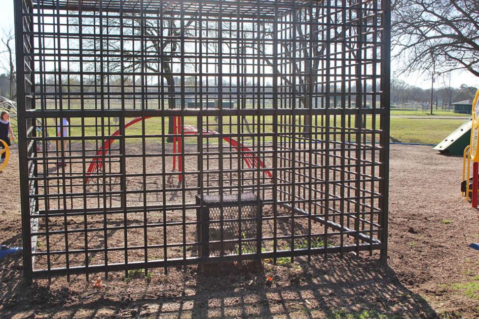 Community Park loses ape