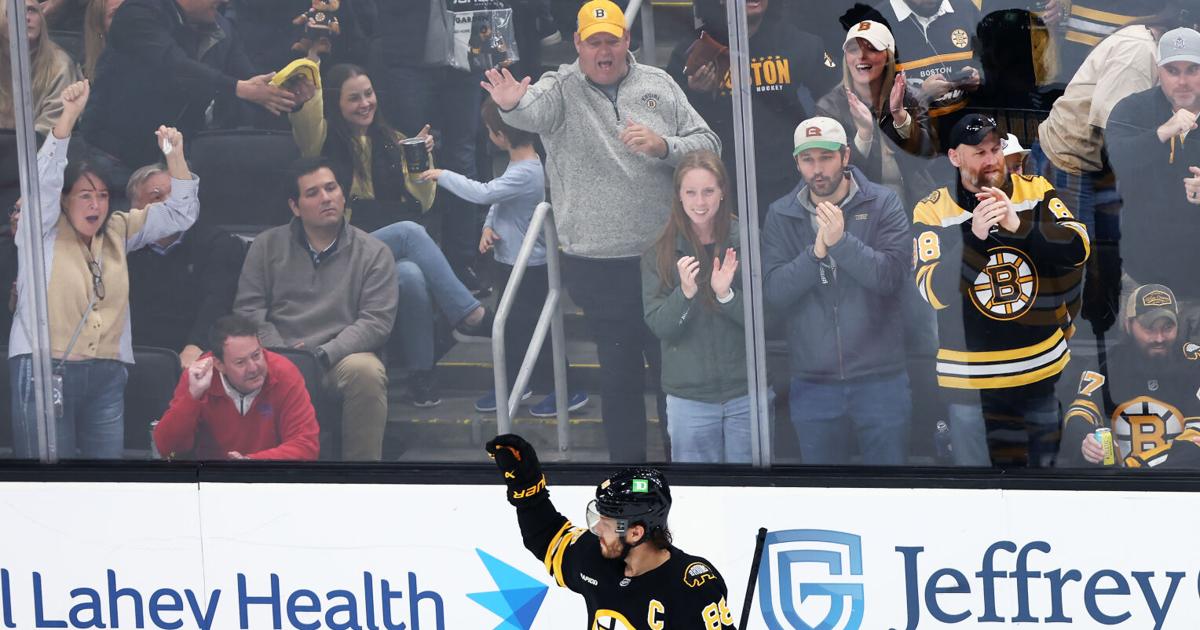 Autoization Letter Sharks Bruins Hockey | National Sports | corsicanadailysun.com