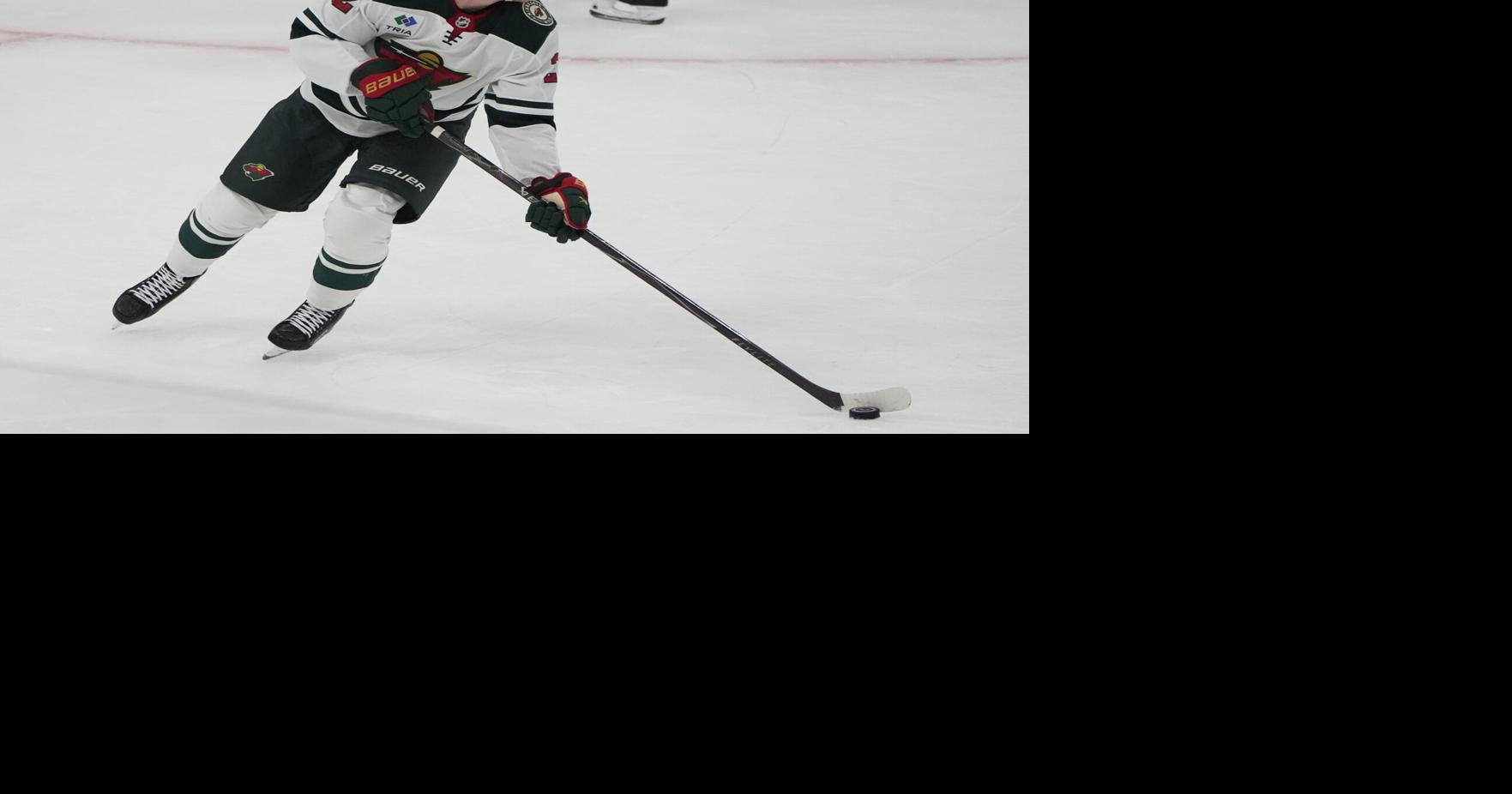 Wild Panthers Hockey | National Sports | corsicanadailysun.com