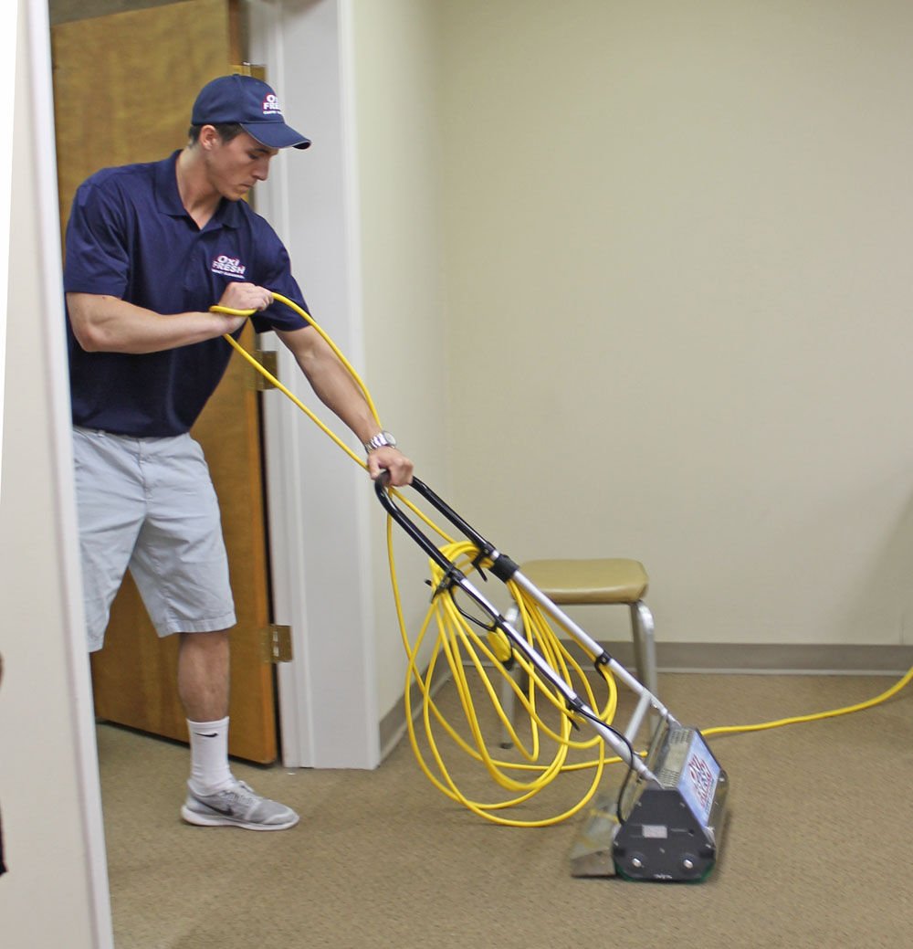 Business Spotlight: Oxi Fresh offers green carpet cleaning at competitive prices  News 