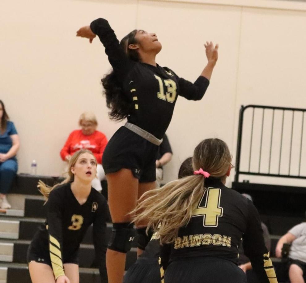GC Volleyball: Dawson reaps all-district awards