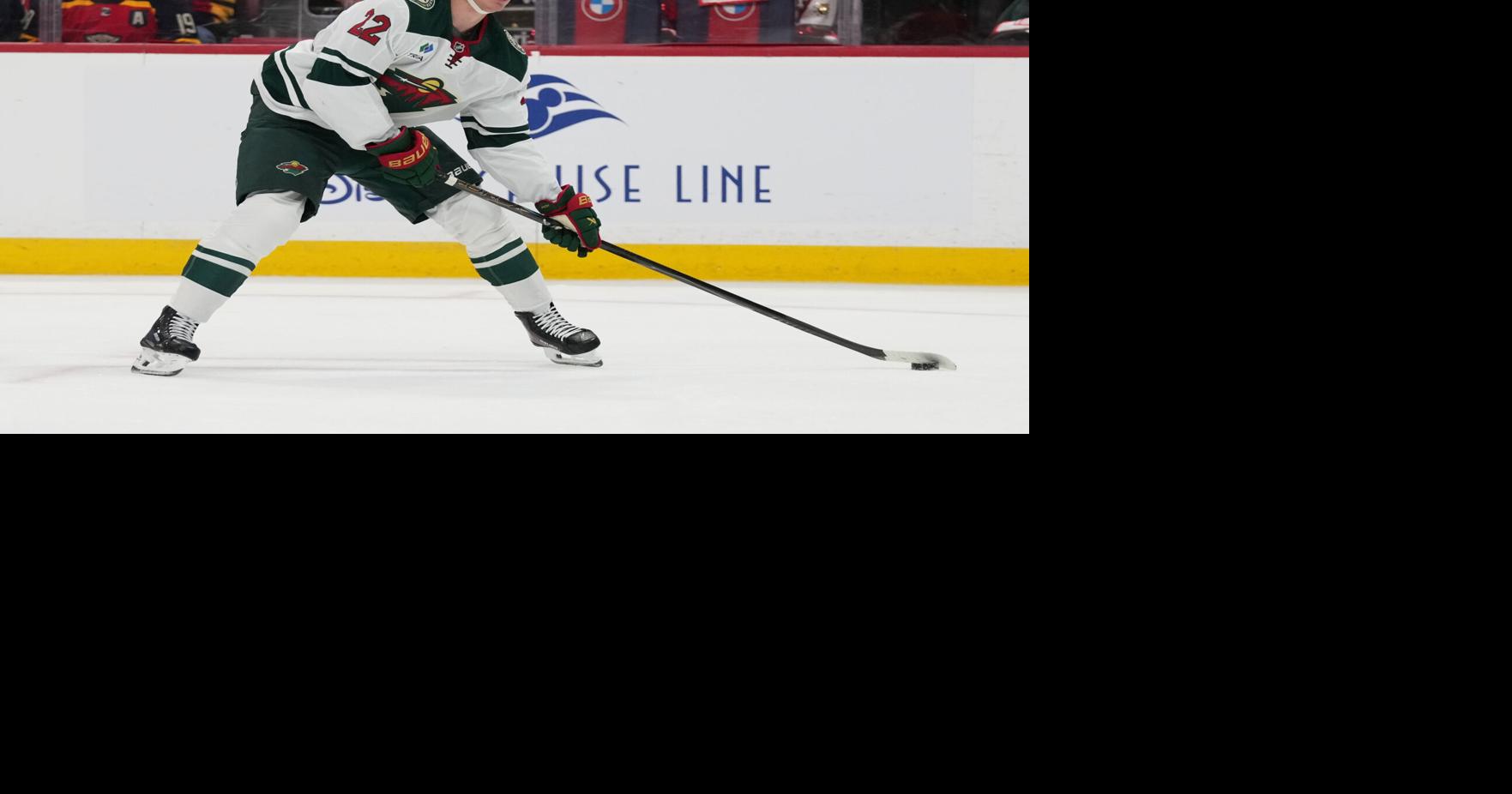 Wild Panthers Hockey | National Sports | corsicanadailysun.com