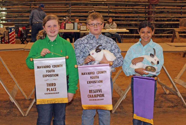 Market Rabbit show: first time is a charm for Grand Champion Jack ...