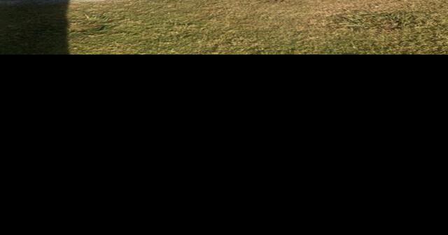 GC Cross Country: Tigers advance to 5A Region II Meet