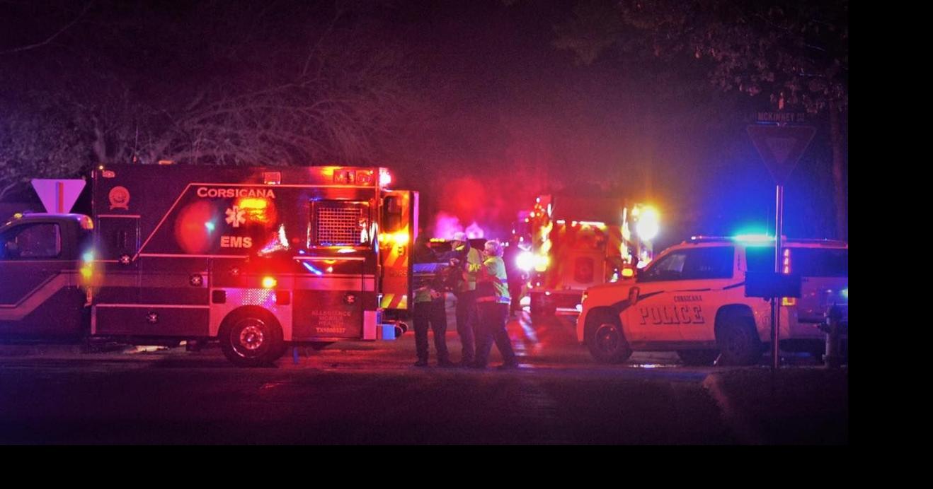 Firefighters rescue person, dog from house fire