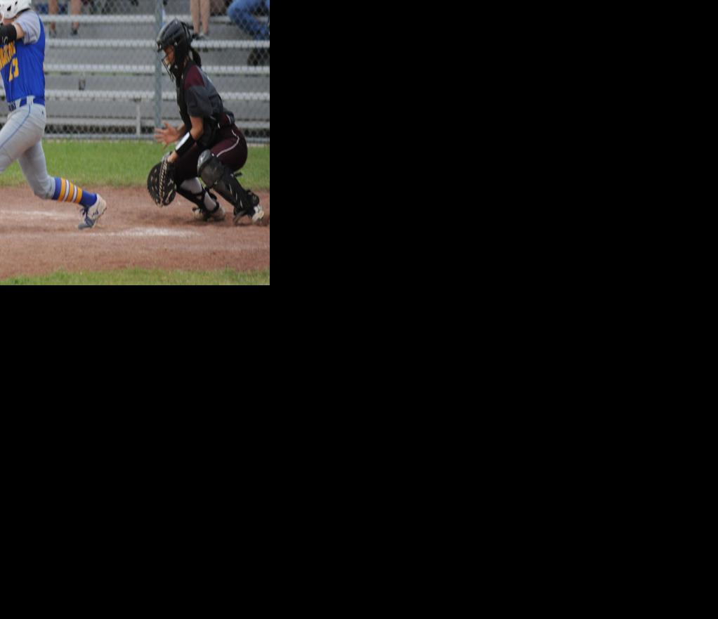 Navarro Softball: Dawgs are off to hot start