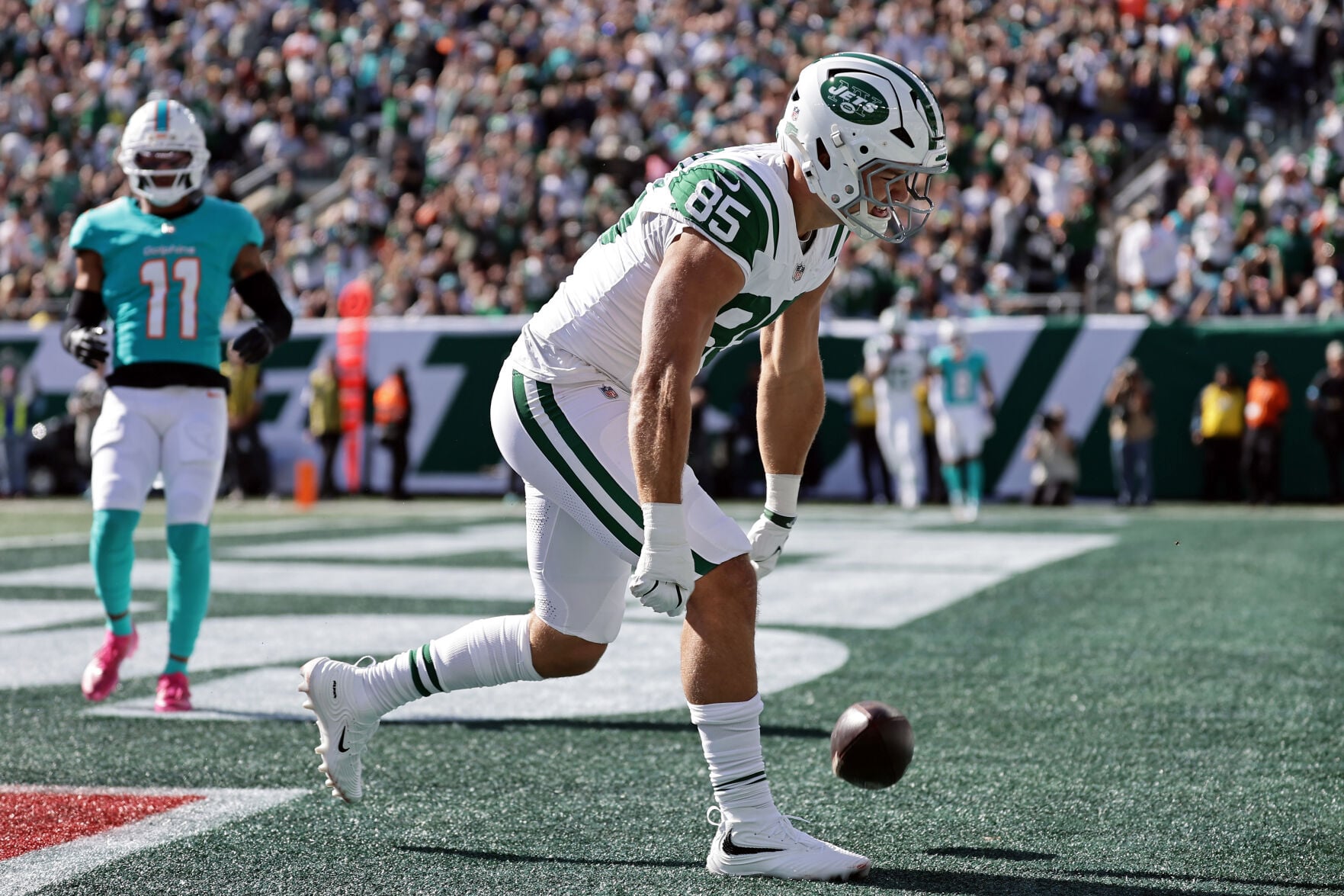 Dolphins Jets Football | National Sports | corsicanadailysun.com