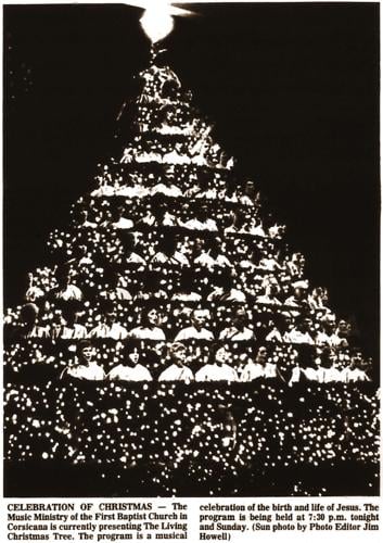 First Baptist Church Corsicana Living Christmas Tree 2022 History: The Living Christmas Tree Premieres | News | Corsicanadailysun.com