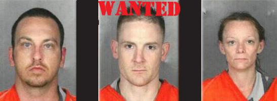 Tri-county theft ring crippled by deputies