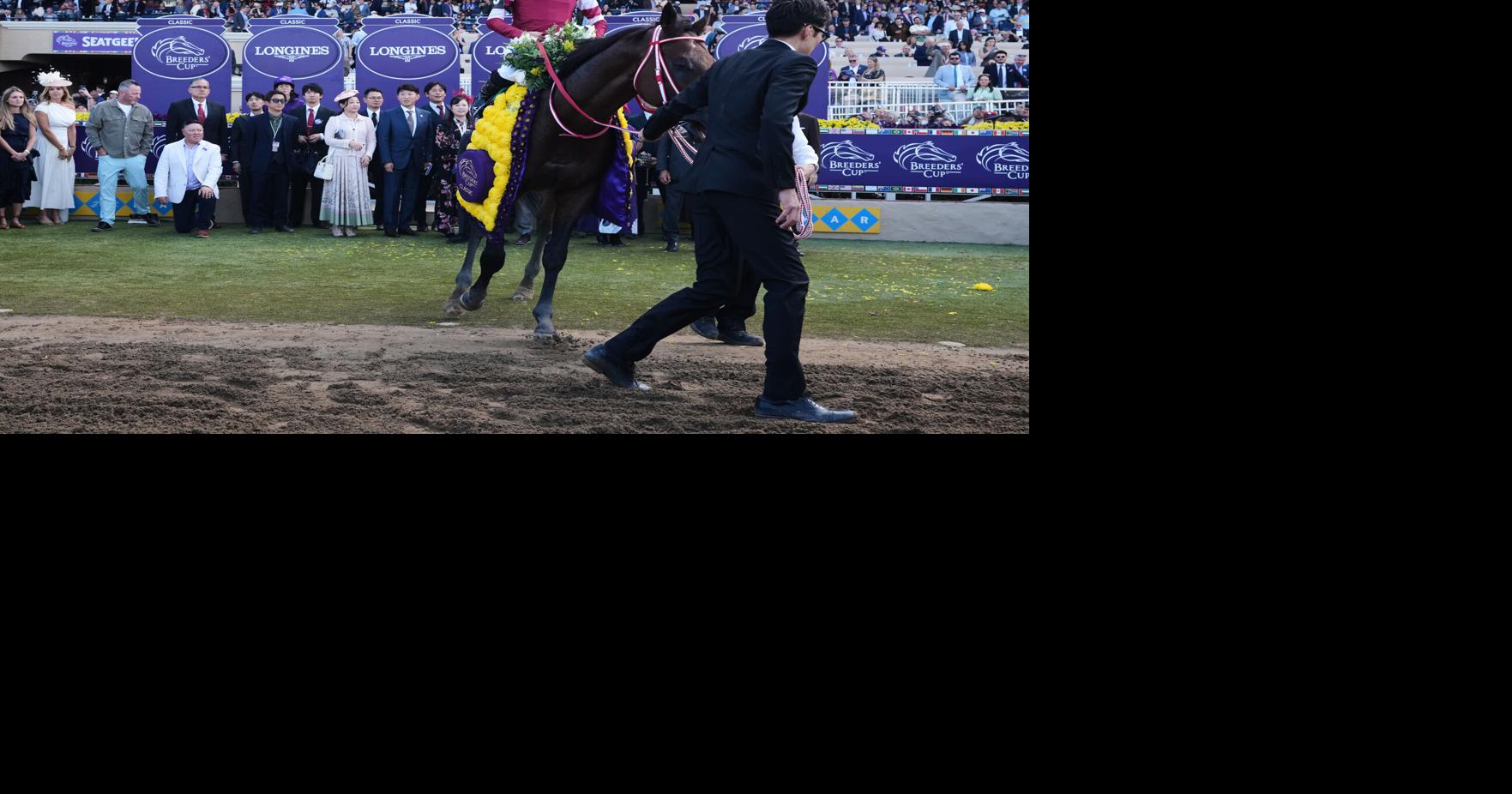 Breeders' Cup Draw Horse Racing | National Sports | corsicanadailysun.com