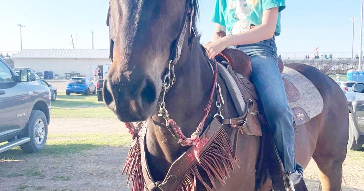 Young entrepreneur builds thriving custom farming business in southern Iowa