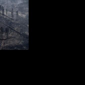 Winds complicate wildfire battle in Spain