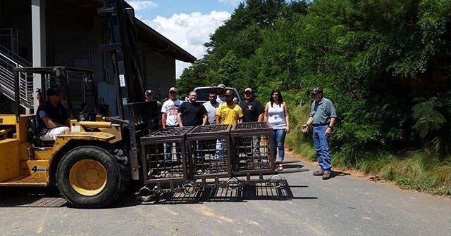 RCC welding students deliver new elephant feeders (+video) | Features ...